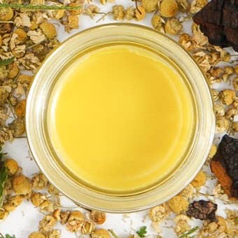 Chaga Mushroom Salve | Herbal Salve | Local Organic Herbs for wholesale by Cultivate Soap and Skincare