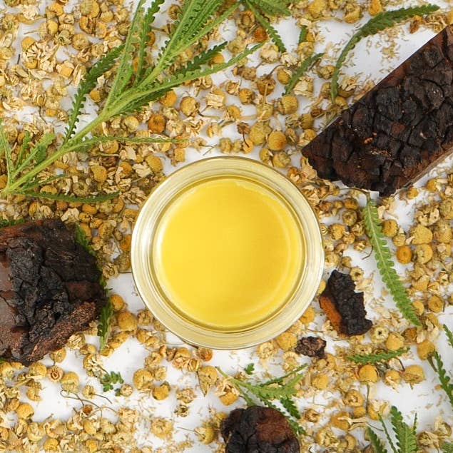 Chaga Mushroom Salve | Herbal Salve | Local Organic Herbs for wholesale by Cultivate Soap and Skincare