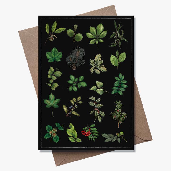 Trees Greetings Card for wholesale by Lást Maps
