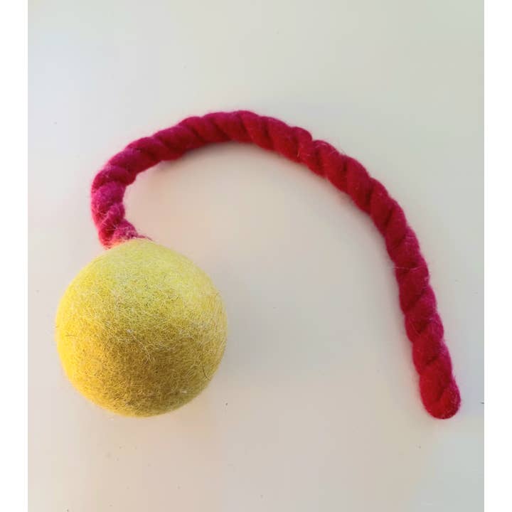 herzundhund - Venta al por mayor Pelota - Perros - Pelota de fieltro lanzadora saltarina