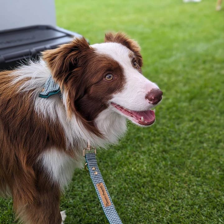 Houndstooth 4-in-1 converteerbare riem - Emerald ft Shiraz voor wholesale door Queenie's Pawprints