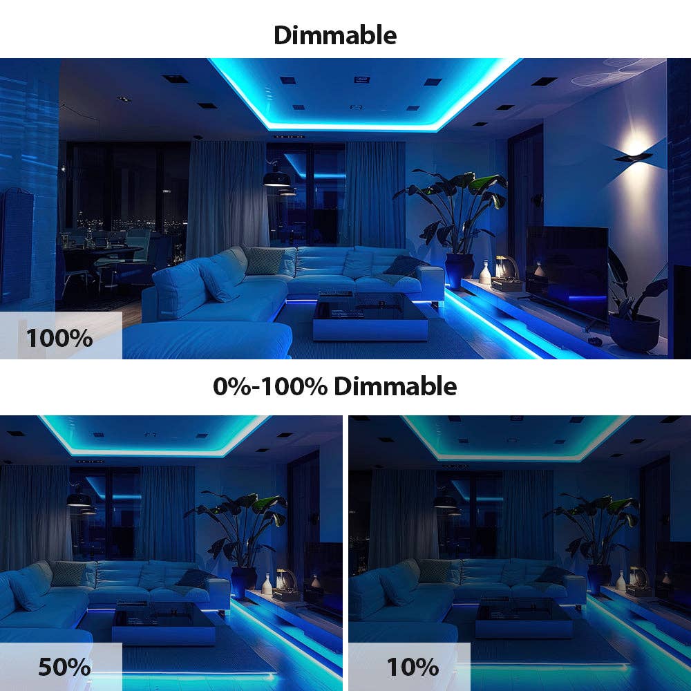 ENER-J – wholesale String lights – 5m Blue LED COB Strip 320L/M 24V with RF Dimmer & PSU4