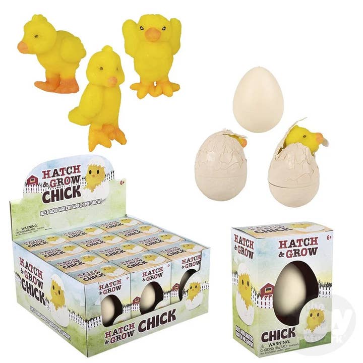 Pagdee Kids Juniors - Vendita all'ingrosso Giocattolo classico - Bambini - Piccolo Uovo di Pulcino da Schiudere e Crescere Giocattolo per Bambini
