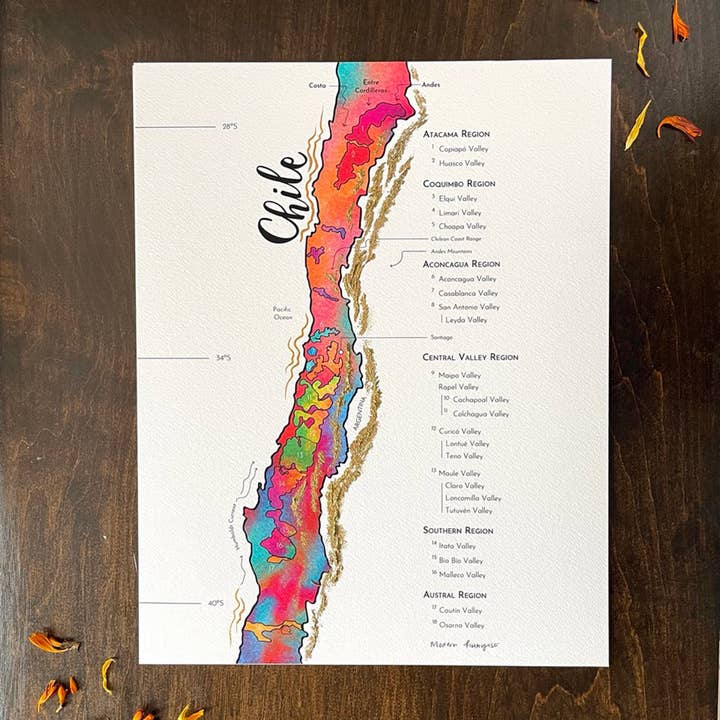 Wine Map Of Chile - Print for wholesale by Modern Hobbyist