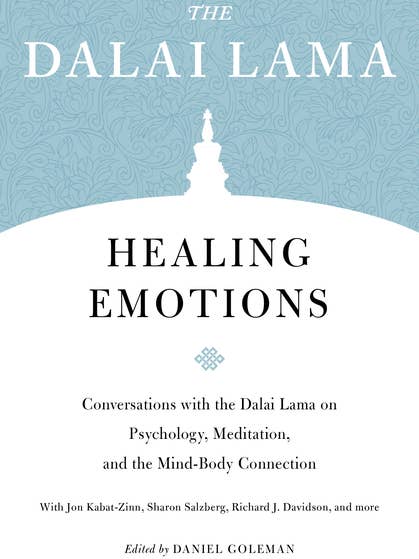 Healing Emotions: Conversations With The Dalai Lama for wholesale by Bradley's Book Clearance