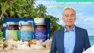 Sea Moss Organics LLC - Wholesale Oral Supplement/Vitamin - Wildcrafted Gold Sea Moss Gel 16 Oz Fresh Made Daily.7