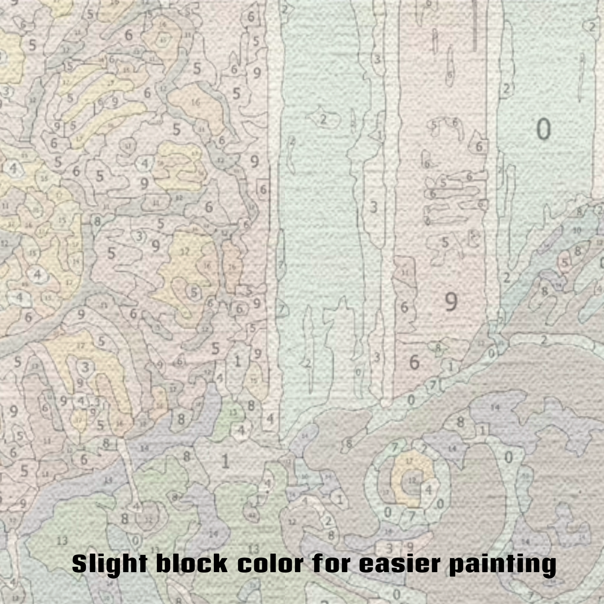 Heather Freitas - Wholesale DIY Craft Kit - Cactus Goldfish - Paint by Numbers Kit1