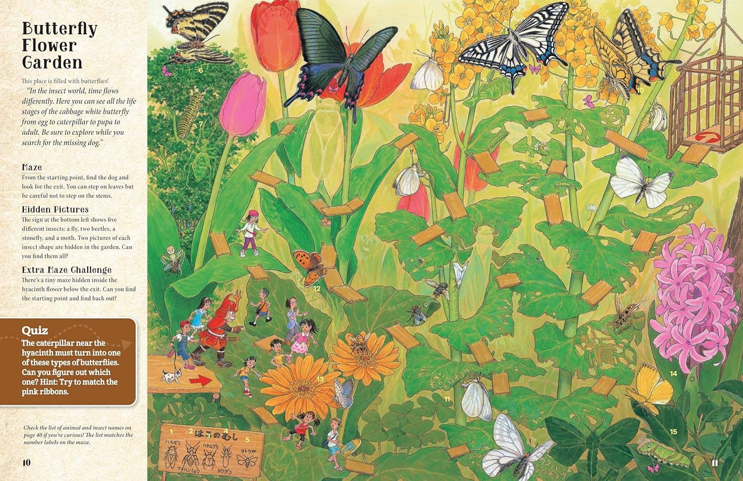 Fox Chapel Publishing - Wholesale Preschool Book (3-5) - Curious Quest - Hidden World of Insects-Seek-and-Find Mazes
4