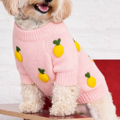 Pull Citron Found My Animal pour la vente par Found My Animal