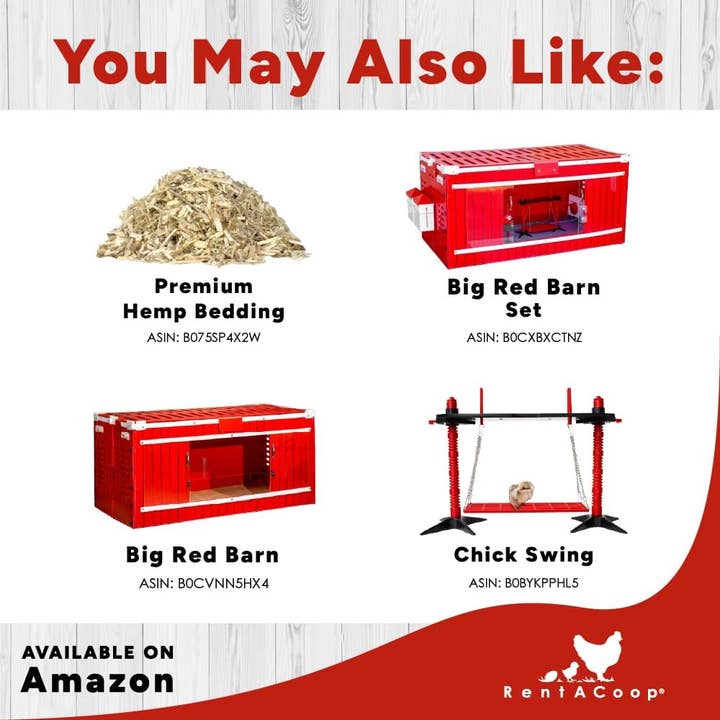 RentACoop - Wholesale Pet Supplement - Not Cat/Dog - Chick2Chicken 2.5lb BPA-Free Single-Port Feeder6