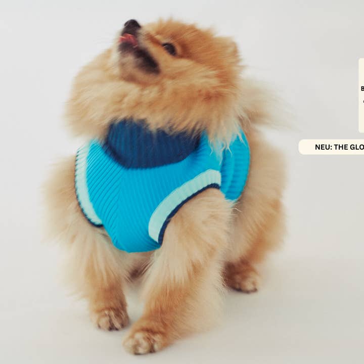 THE GLOW JUMPER 2.0 (Crystal Sky) and other Purchase Wholesale laboni. Free Returns & Net 60 Terms on Faire trending on Faire.