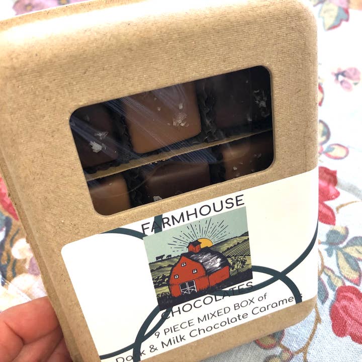 Farmhouse Chocolates - Wholesale Chocolate Covered Sweets - 9 Piece Milk & Dark Chocolate Covered Salted Caramels, Mixed7