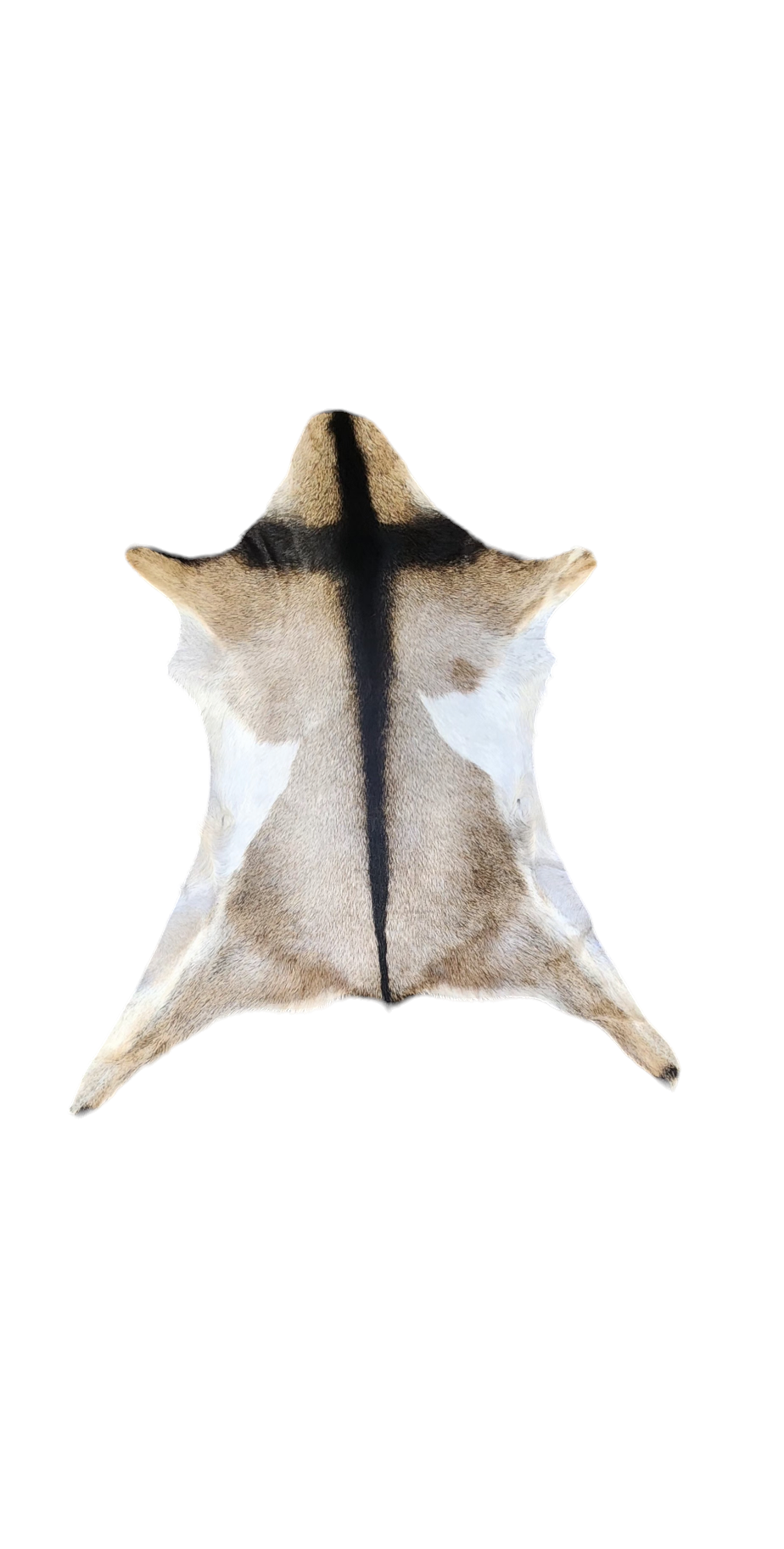 Luises Perez Imports LLC - Wholesale Decorative Tabletop Object - Assorted goat hides3