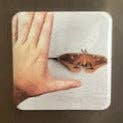 Aries Handcrafted Designs - Wholesale Magnet - Add your photos ~ Rectangle 2"x3" ~10 Custon Photo Magnets