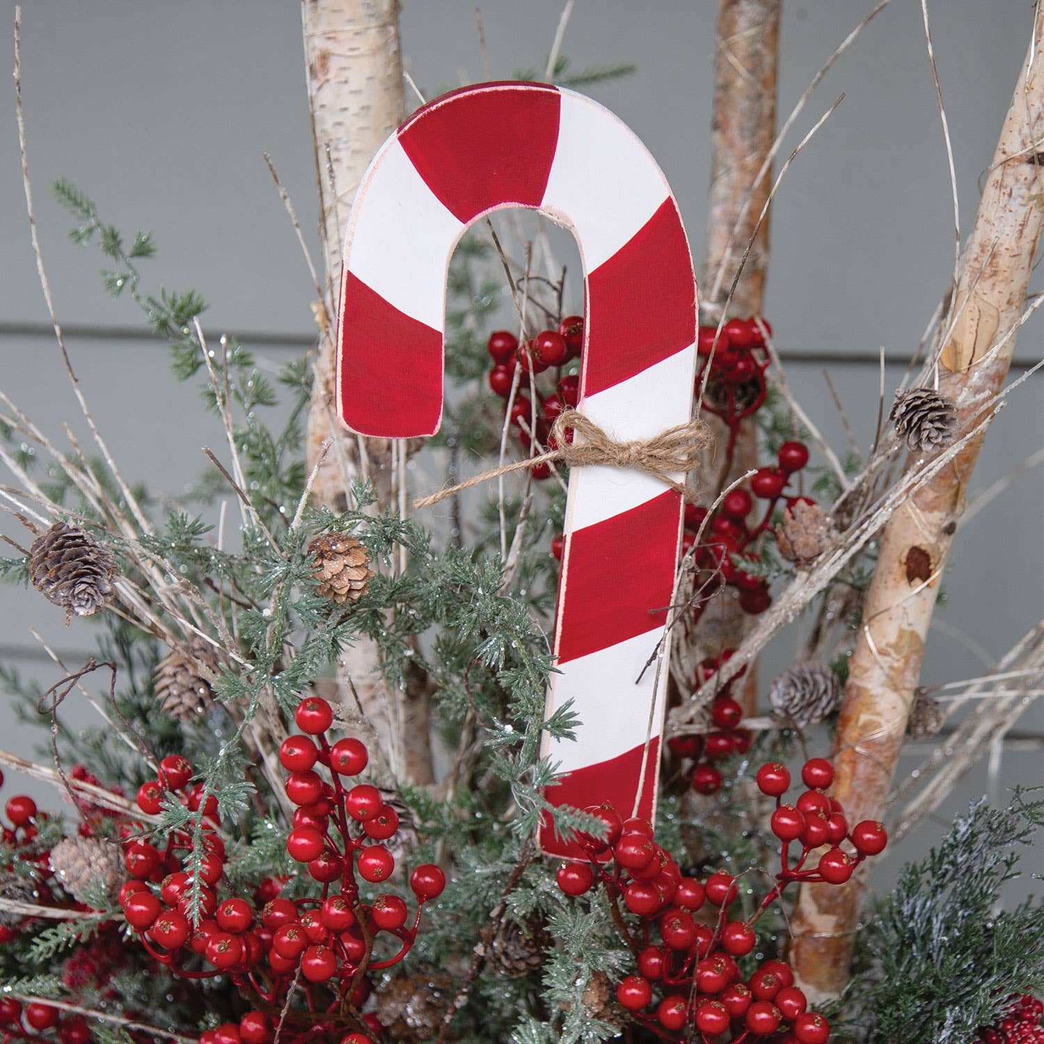 Col House Designs - Vente Piquets de jardin/pelouse - Petite jardinière en canne à sucre Stake/Accent1