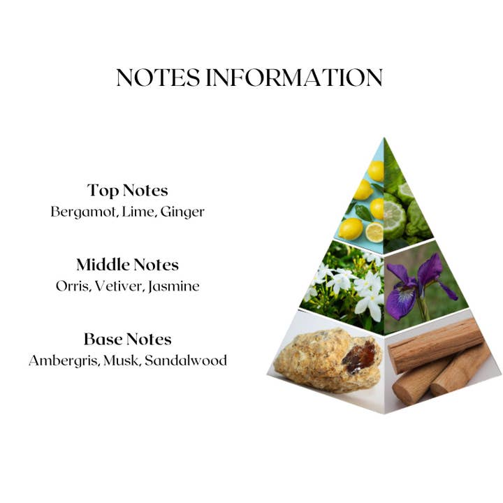 NASEEM - Wholesale Perfume/Eau de Toilette - AMIR Perfume Oil Aromatic & Fresh Men's Fragrance 0.68 Fl Oz2