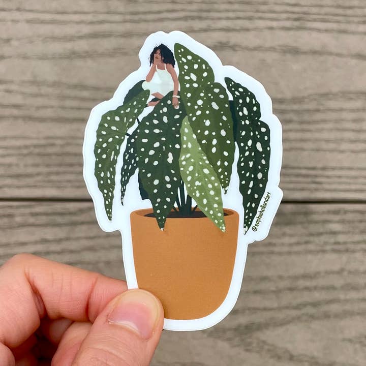 Begonia Maculata Plant Girl Sticker for wholesale by Sophie Holland Art