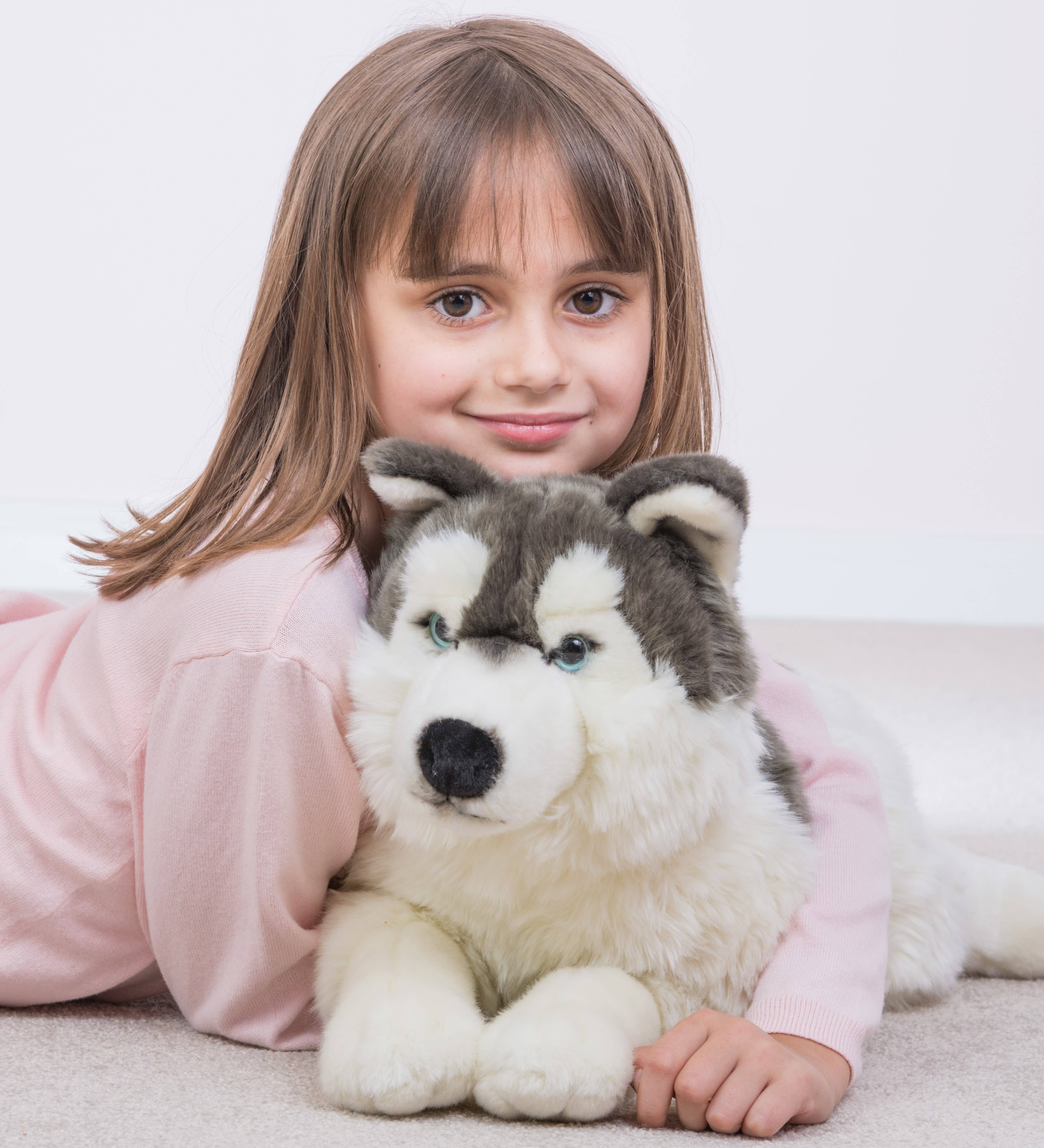 Teddy Hermann – wholesale Stuffed/plush toy – Kids & baby – Husky lying down 60 cm - plush toy - soft toy1