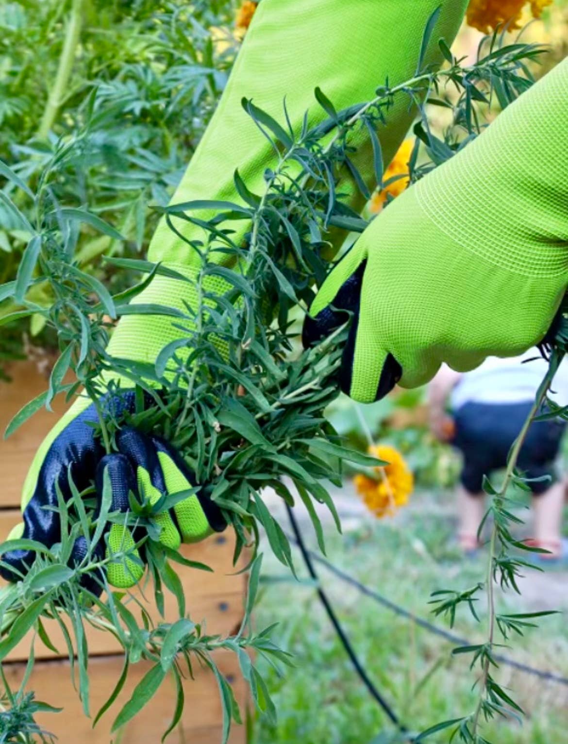 CharGuy Gear – Großhandel Gartenhandschuhe – Langarm-Arbeitshandschuhe für den Garten, Schutzhüllen9