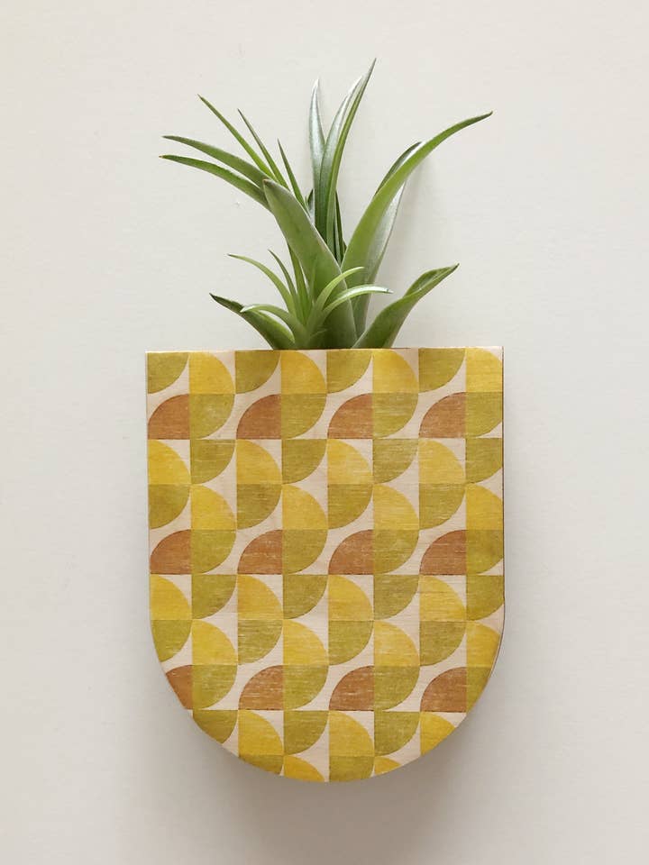 Vaso da fioriera da parete piccolo geometrico per la vendita all'ingrosso da parte di Stacy Wong