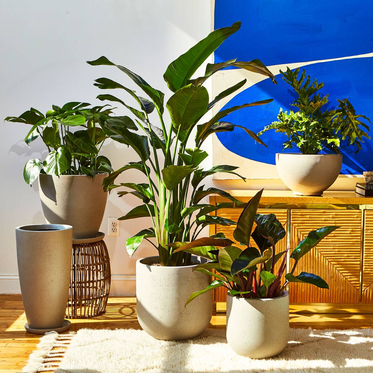 Greenery Unlimited - Wholesale Plant Pot - Newel 30 Large Planter8