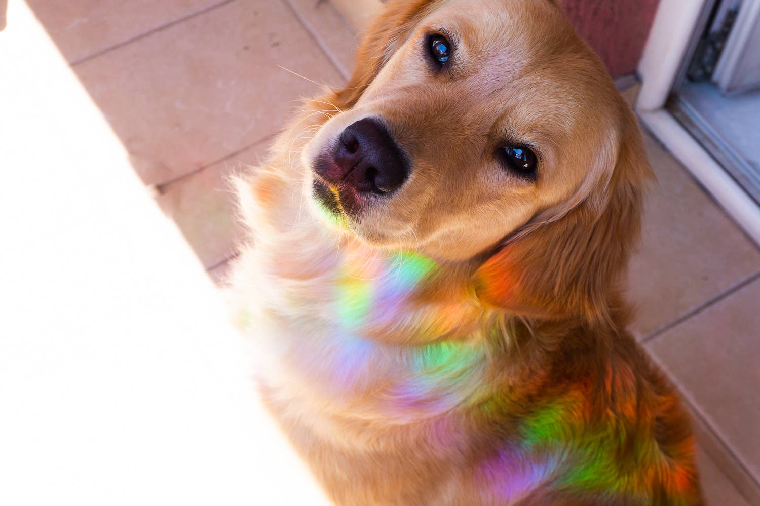 Creative Goodie - Wholesale Sticker - Good vibes Suncatcher sticker, Rainbow sticker, Window decal3