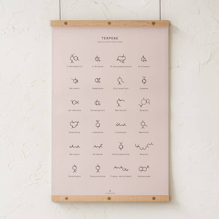 Goldleaf – Großhandel Kunstdruck – Diagramm mit molekularen Terpenstrukturen drucken3