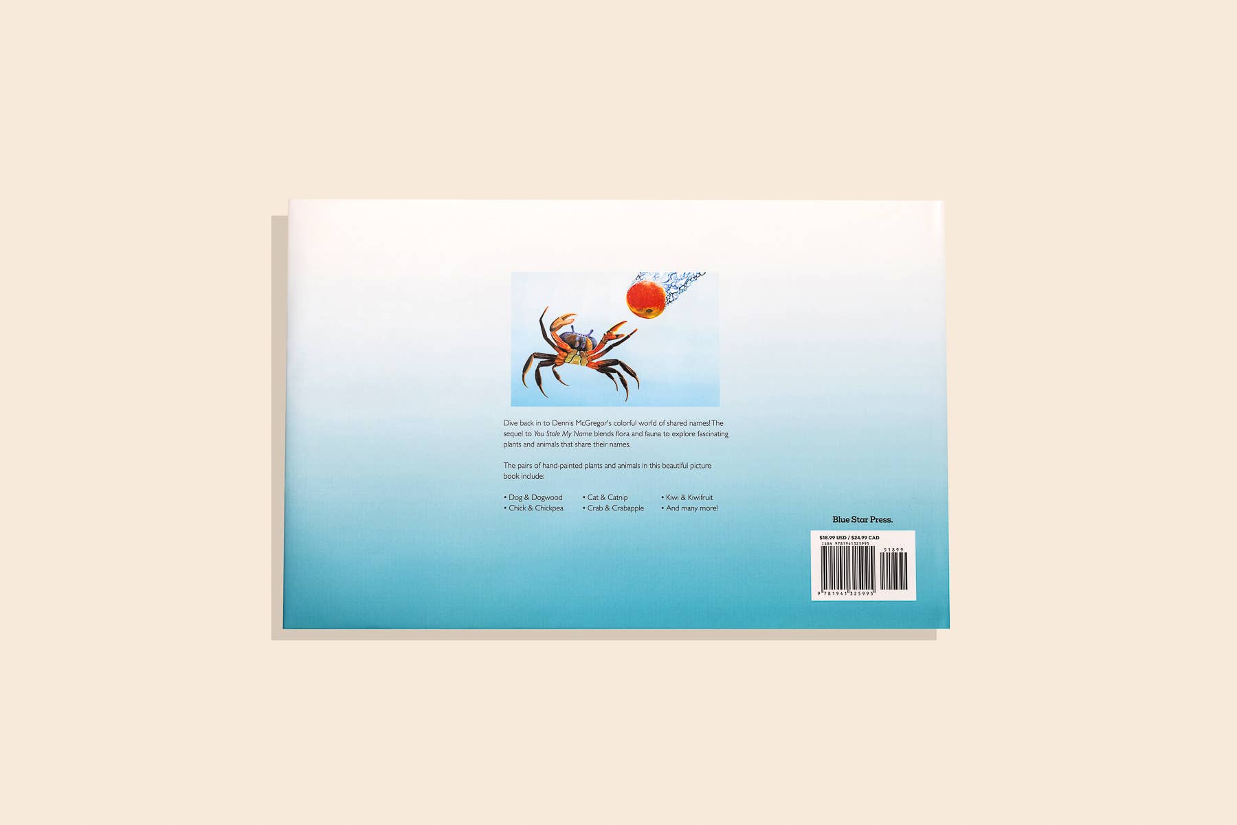 Paige Tate & Co. - Wholesale Baby & Toddler Book (0-2) - You Stole My Name Too (Picture Book for Kids)5