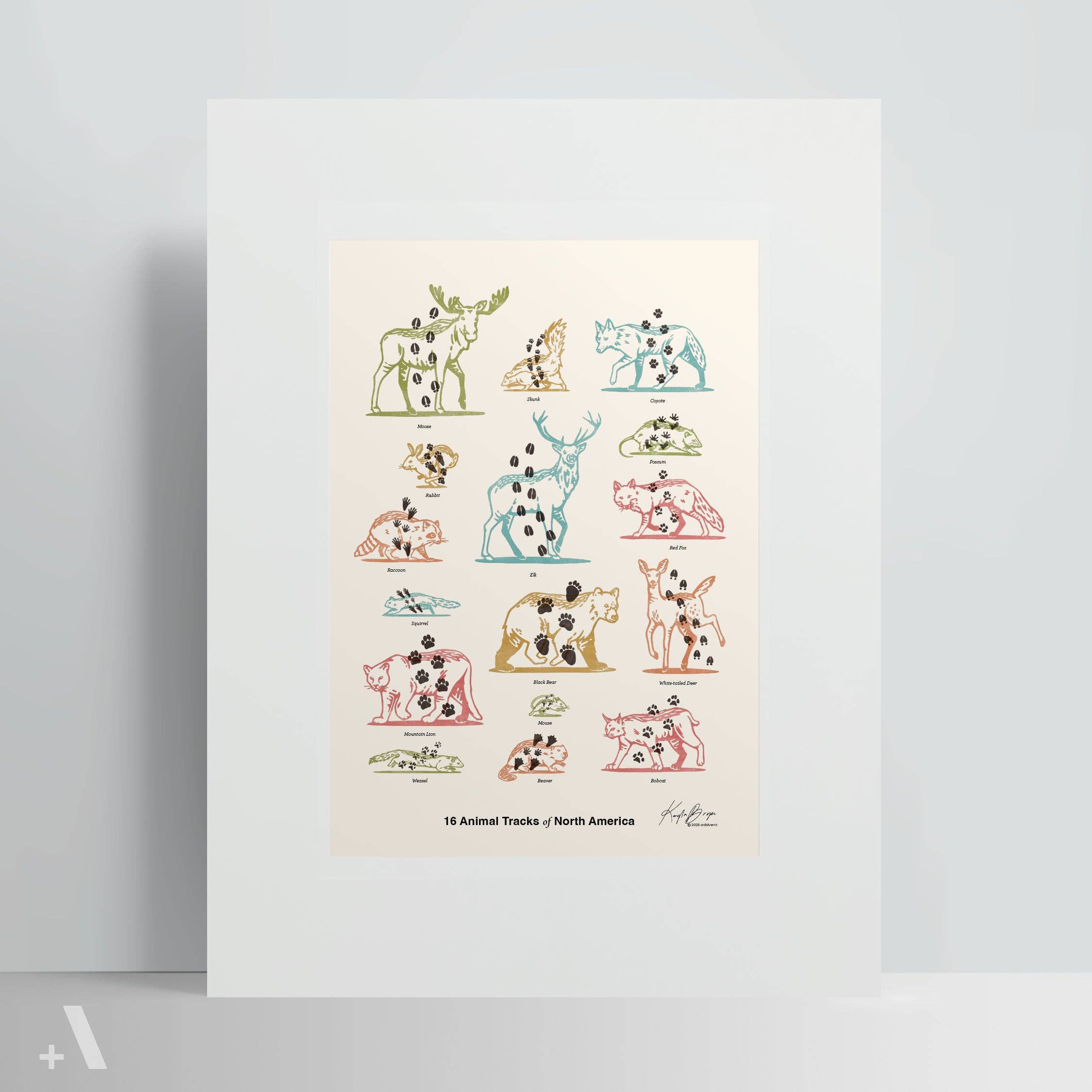 Addvent - Wholesale Art Print - Animal Tracks of North America / Poster Art Print1