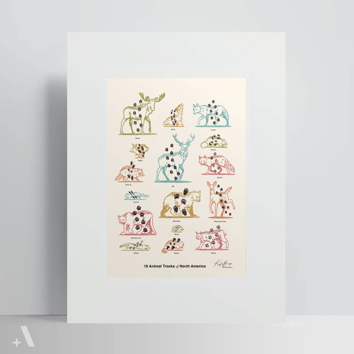 Addvent - Wholesale Art Print - Animal Tracks of North America / Poster Art Print1