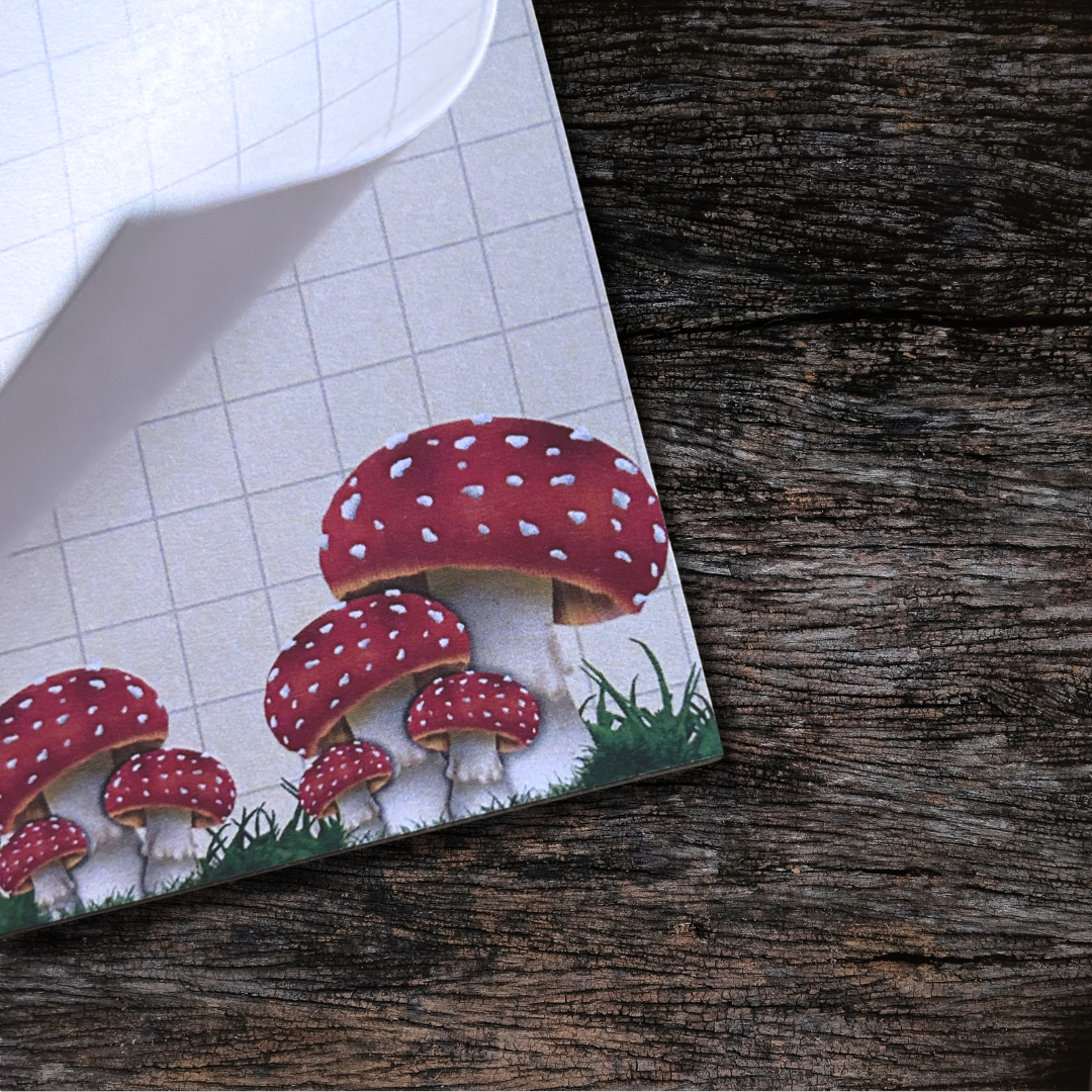 Write Your Story – wholesale Notepad – Mushroom DL Notepad4
