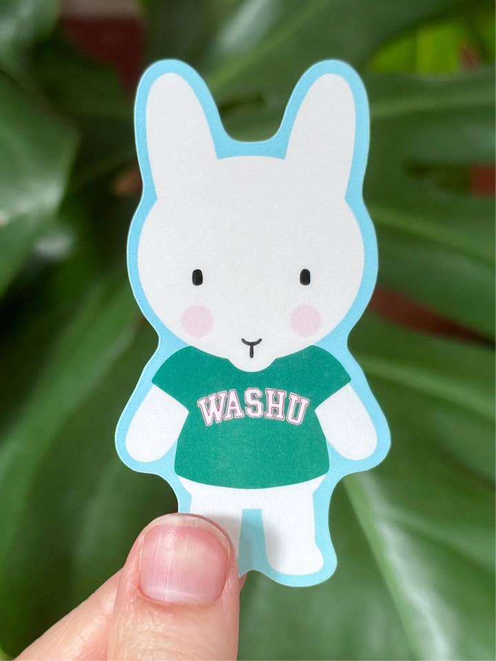 Clem Goes to College Sticker: WashU Edition! for wholesale by Clem & Co.