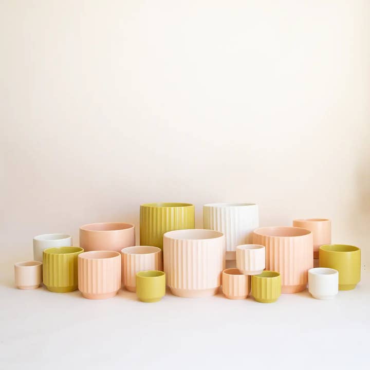 Jungle Club - Wholesale Plant Pot - Monroe Planter | Palm