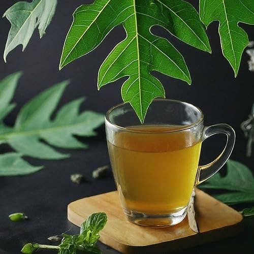 Akshit - Wholesale Loose Tea - Dried Papaya Leaves, Cut & Stuffed, Papaya Leaf Tea, 2.6 oz.9