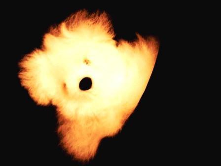 Choice Alpaca Products - Wholesale Stuffed/Plush Toy - Kids & Baby - Alpaca Pocket Teddy Bears1