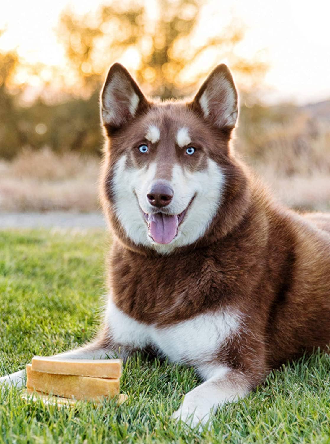 Willy's Wags Natural Pet Treats - Wholesale Pet Treats - Dog - Himalayan Yak Chews - X-Large Sized - 5lbs. Bulk2