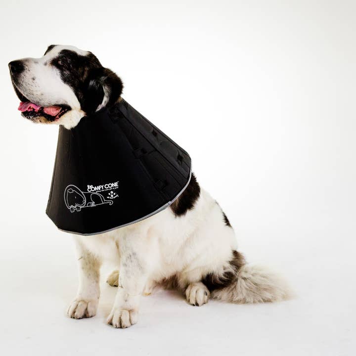All Four Paws - Wholesale Pet Collar - Dog - XXL-The Original Comfy Cone