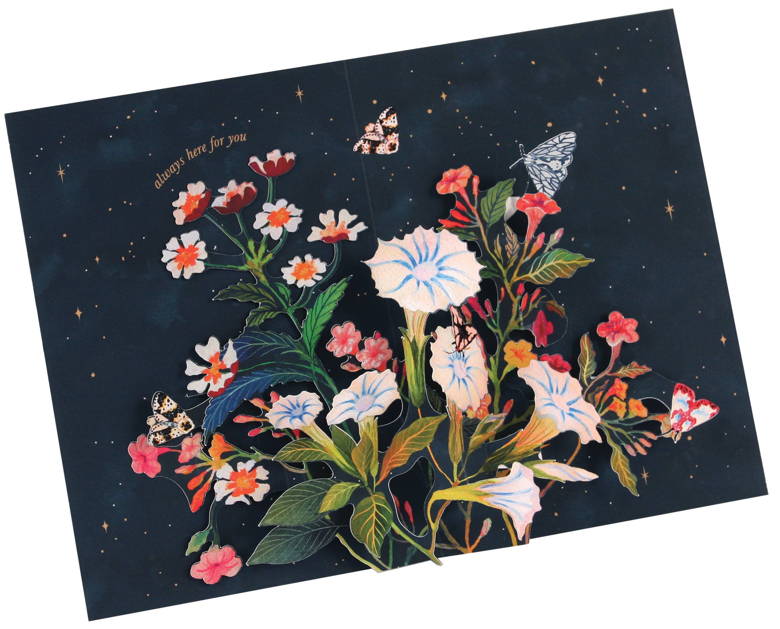 UWP Luxe - Wholesale Retailer Display - Paper & Novelty - Wooden Counter-top Display with Cards - Display & 66 Cards8