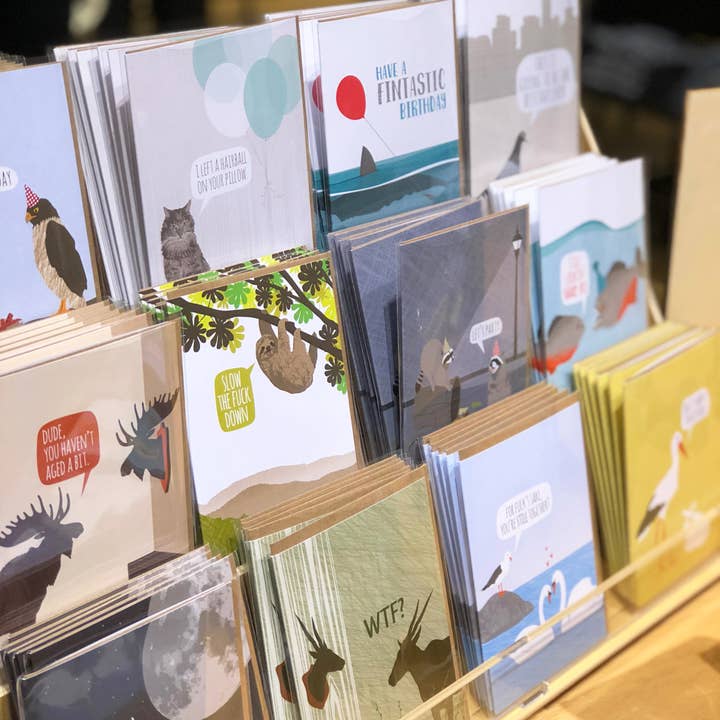 Modern Printed Matter - Wholesale Birthday Card - Haven't Aged Moose Trophy Funny Birthday Card3