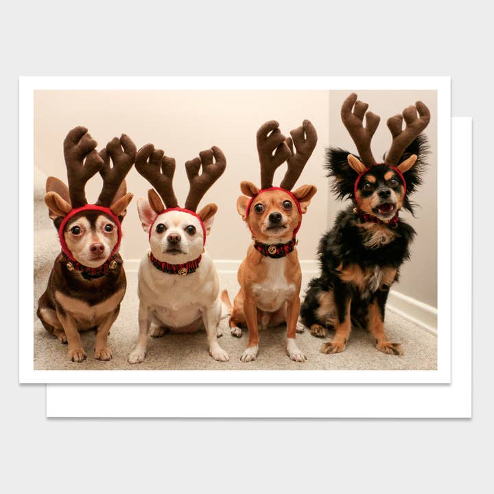 Reindeer Dogs Happy Holidays Greeting Card for wholesale by Palm Press