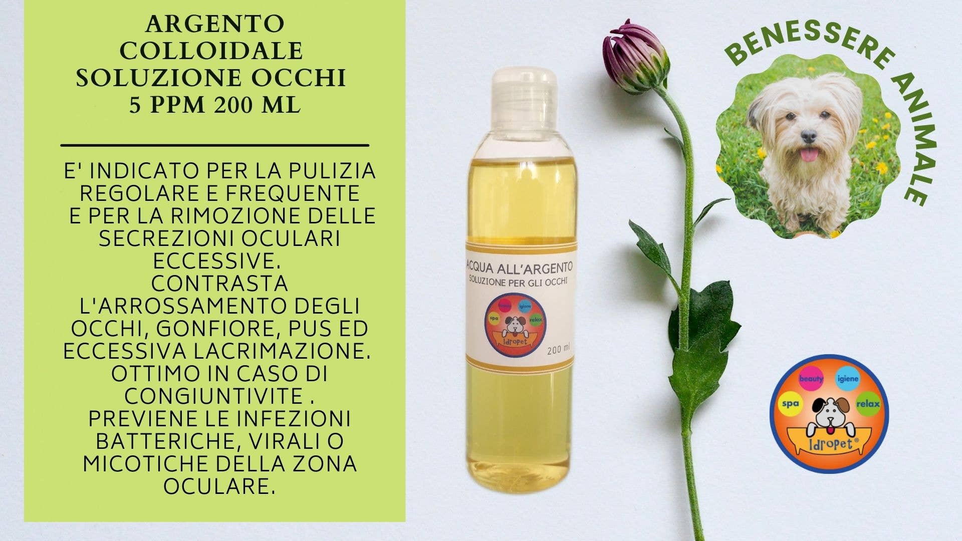 Idropet - Wholesale Pet Grooming Set - Dog - Spa & Beauty kit dedicated to the Maltese dog5