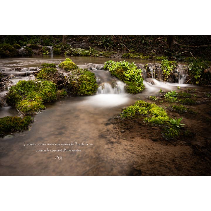 Udholdenhed for engroshandel hos L'Ecriture D'Un Regard