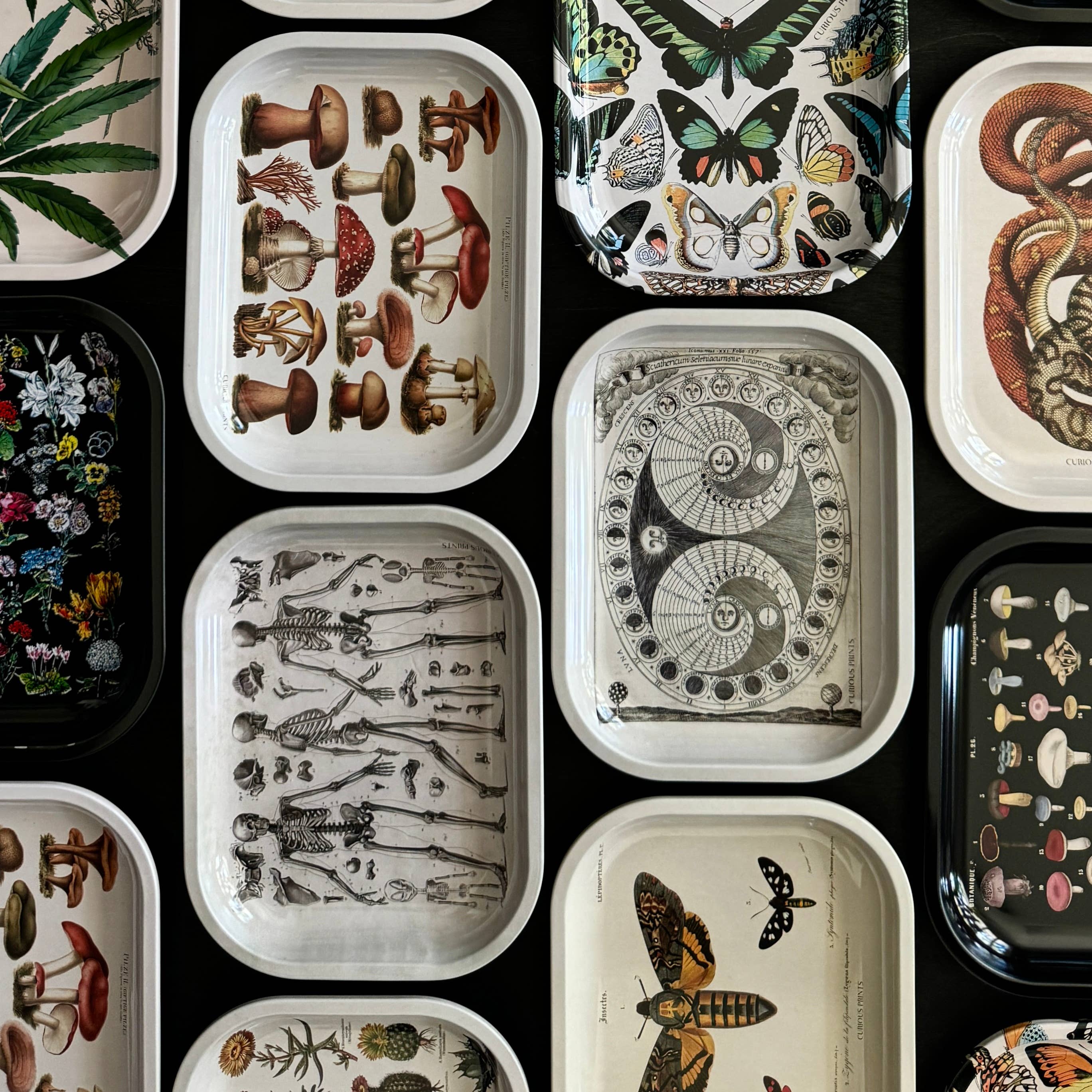 Curious Prints - Wholesale Decorative Tray - Small Metal Tan Mushroom Ritual Tray / Vintage Illustration3