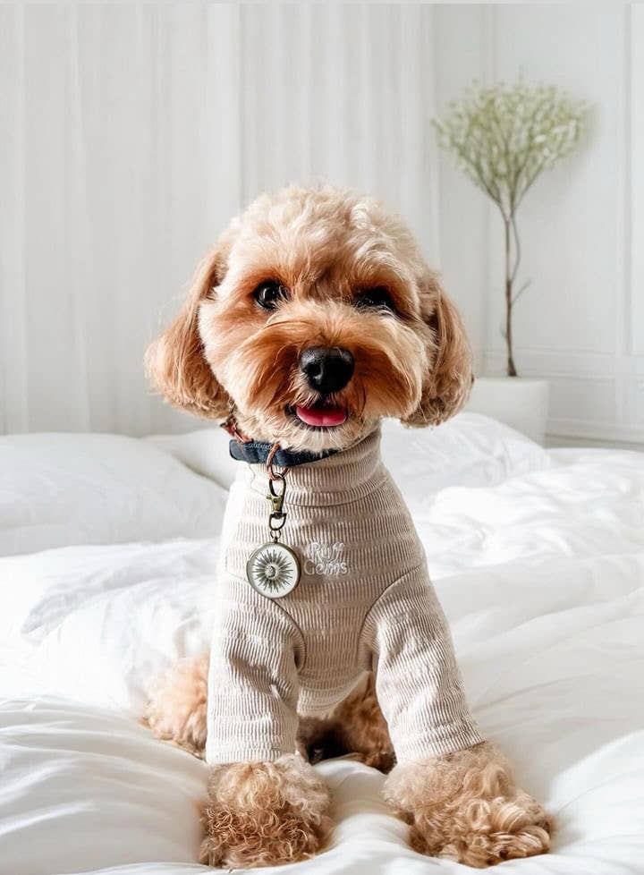 Ruff Gems Co - Wholesale Pet Shirt - Dog - Ultra Comfortable Luxury Dog Ribbed Stretch T Shirt17