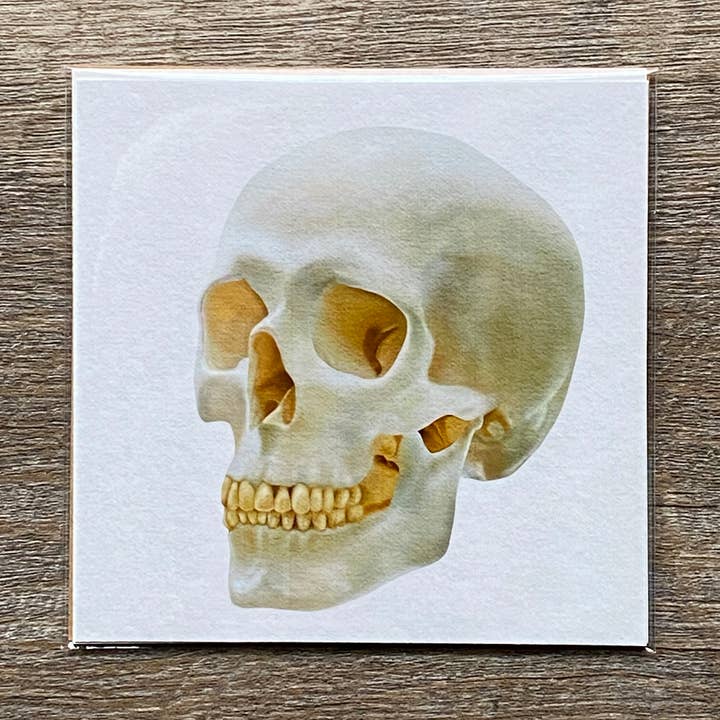 4x4 Skull Art Print, Skeleton Art Print, Spooky Decor for wholesale by blonde birdie