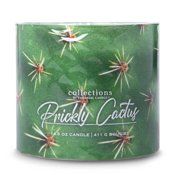 CBCC Desert Prickly Cactus, 3 Wick, 14.5oz for wholesale by MVP Group International INC