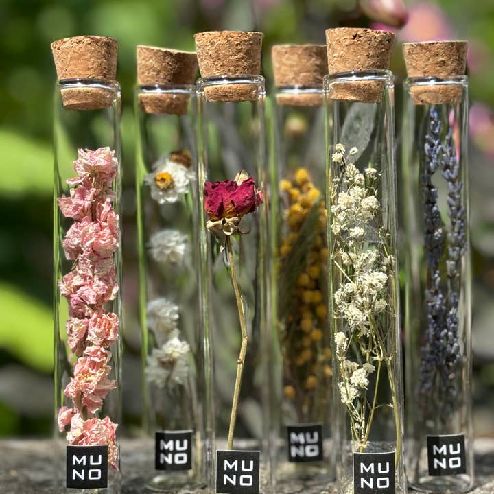 Muno - Wholesale Dried/Pressed Flowers - TUBE 15 CM WITH DRIED FLOWER - Gift