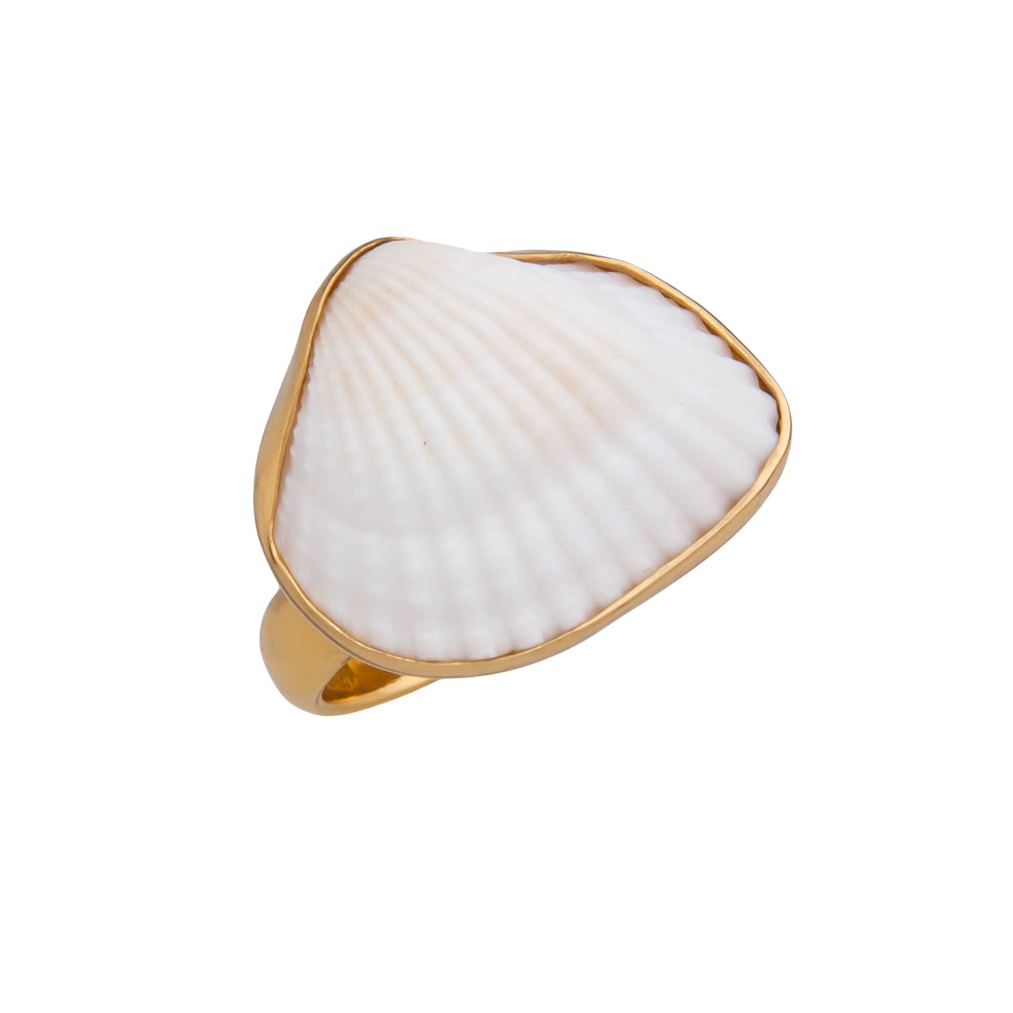 Charles Albert Inc - Wholesale Cocktail/Statement Ring - Alchemia Ark Shell Adjustable Ring1