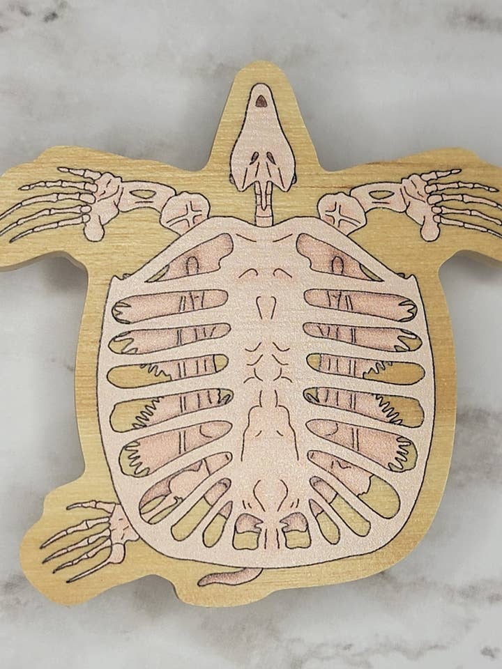 Archelon Wooden Pin for wholesale by Kingdom Animalia