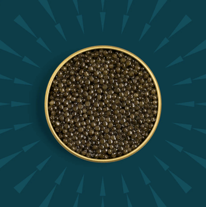 Golden Goat Caviar - Wholesale Fish/Seafood - Classic Ossetra Caviar1